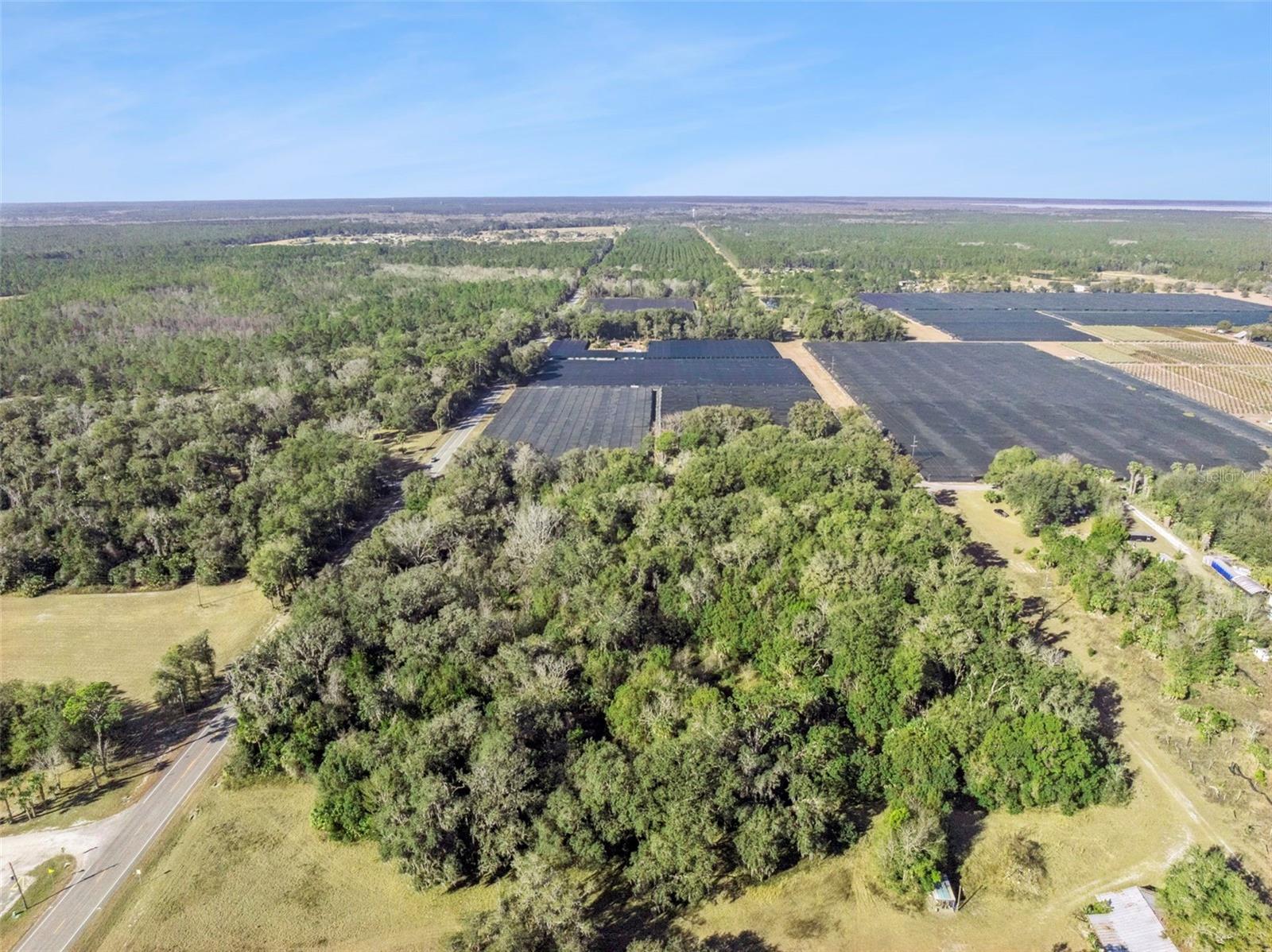 Image 17 of 18 For 1975 Stone Road