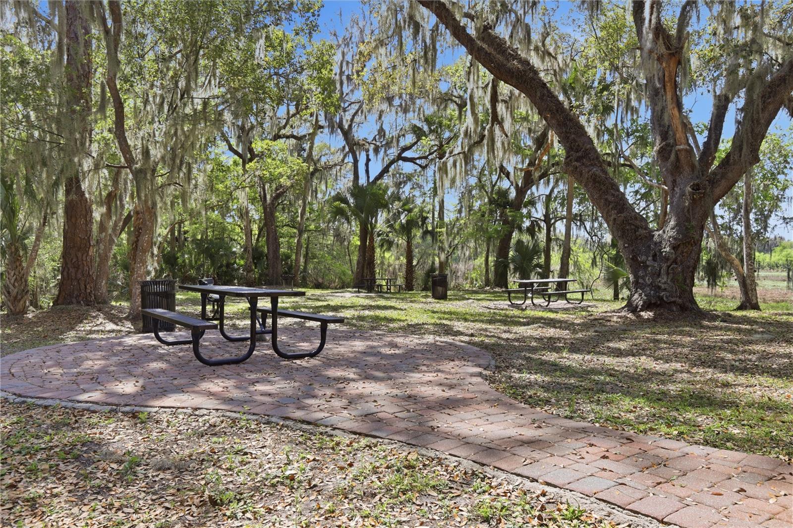 Image 69 of 82 For 111 San Lucia Drive