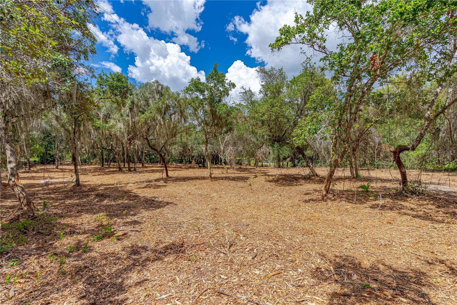 Image 7 of 8 For Twin Oak Street