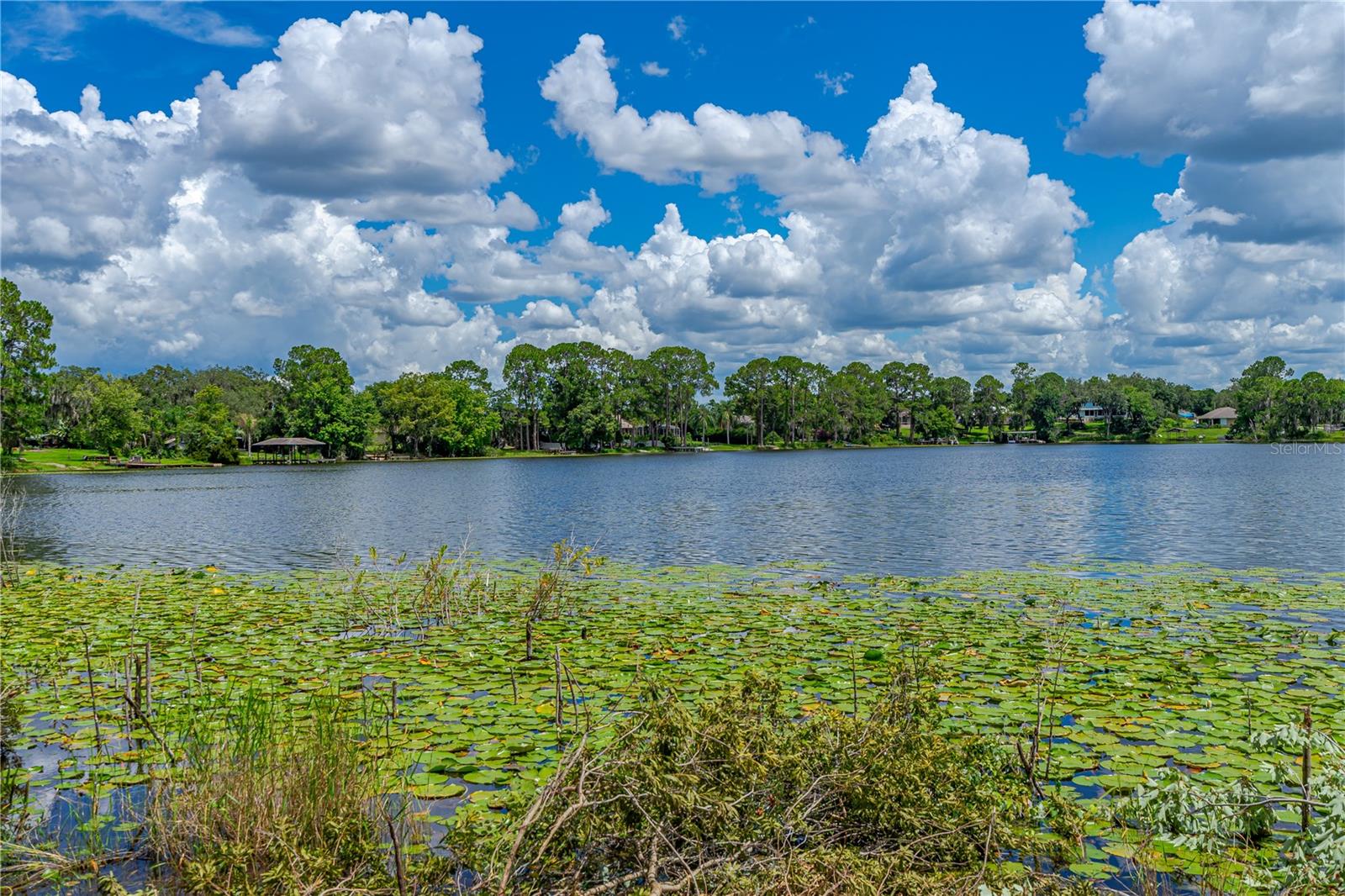 Image 10 of 11 For Twin Oak Street