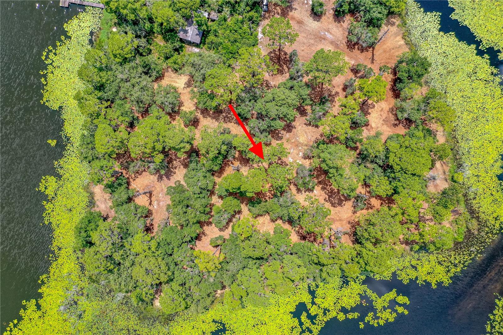 Image 5 of 11 For Twin Oak Street