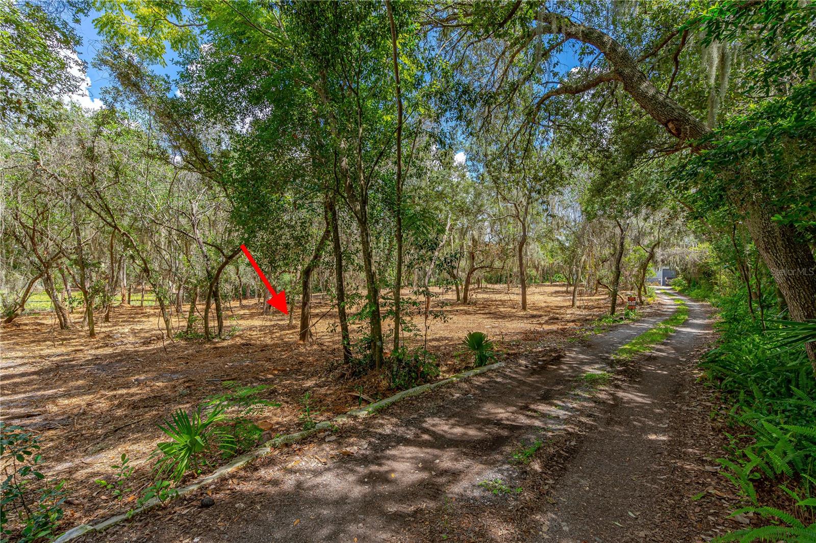 Image 6 of 11 For Twin Oak Street