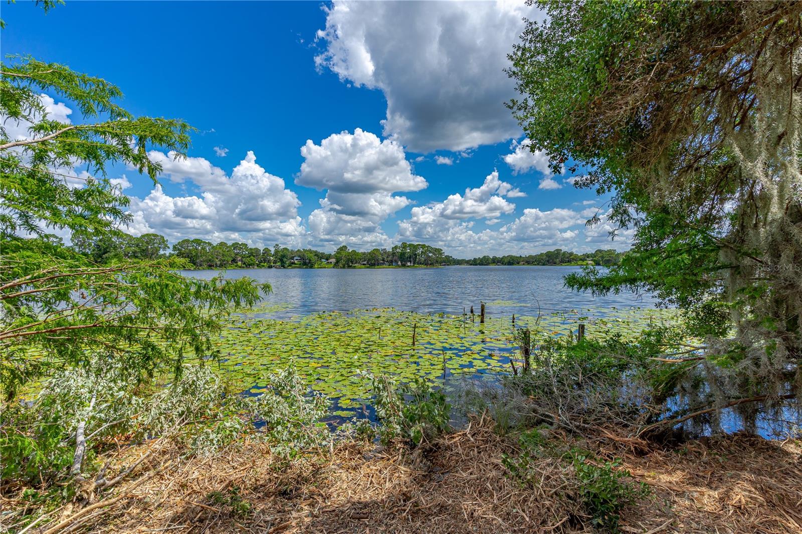 Image 8 of 11 For Twin Oak Street