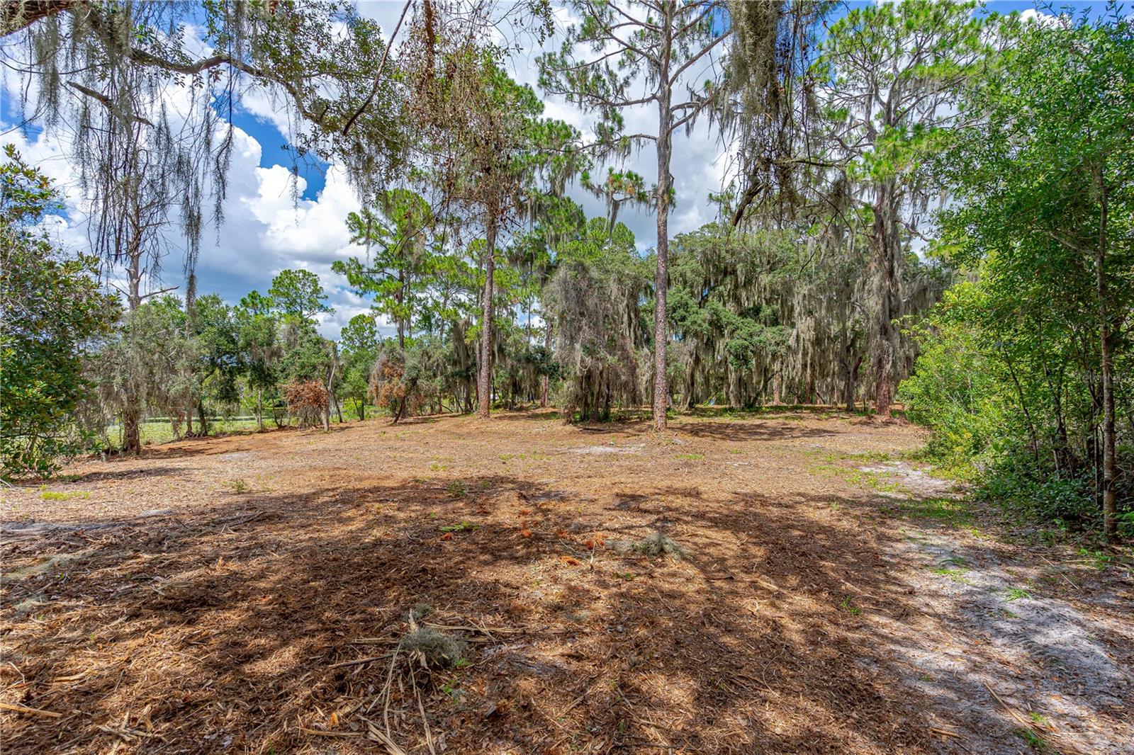 Image 10 of 17 For Twin Oak Street