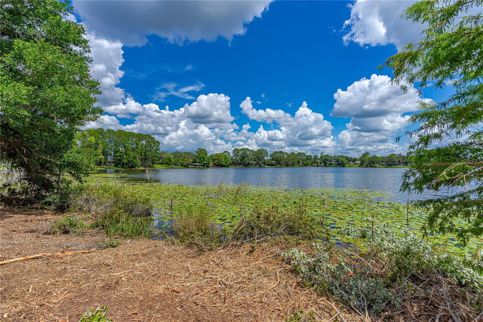 Image 12 of 17 For Twin Oak Street