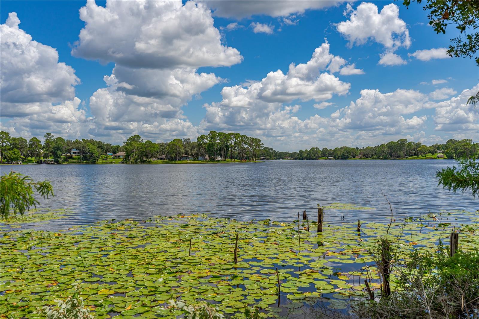 Image 15 of 17 For Twin Oak Street