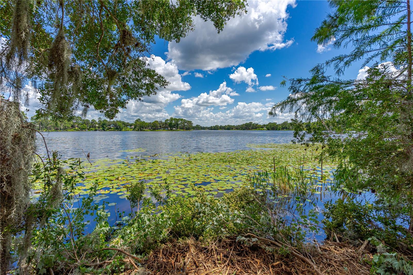 Image 16 of 17 For Twin Oak Street