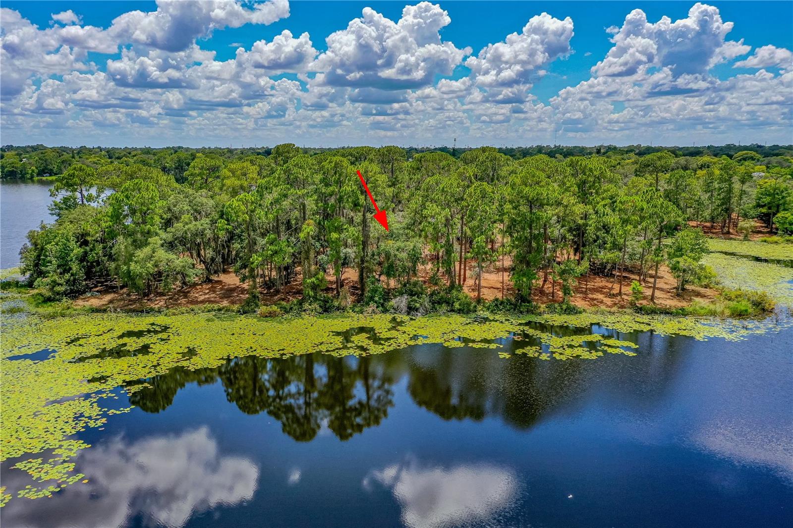 Image 7 of 17 For Twin Oak Street