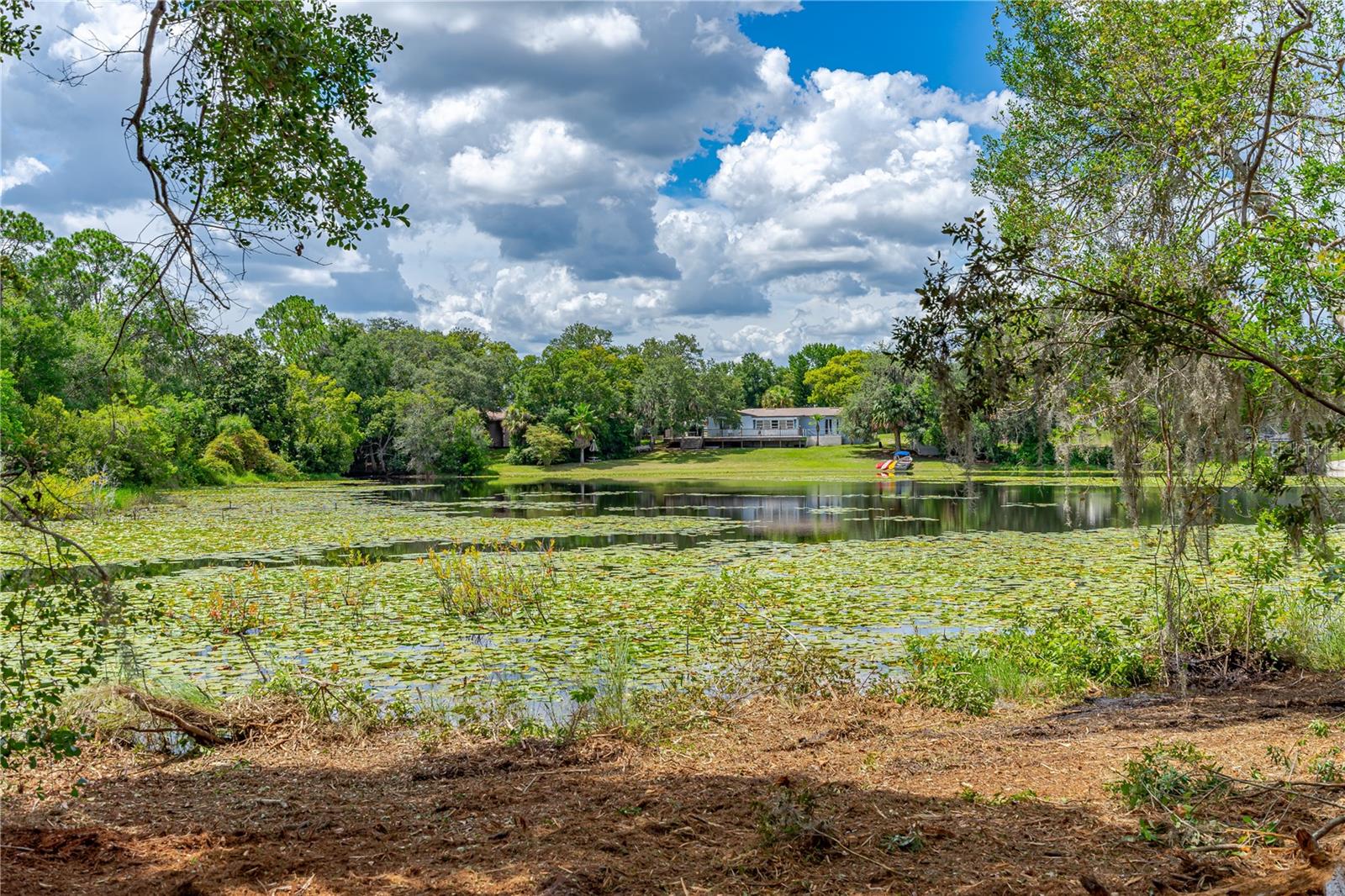 Image 13 of 18 For Twin Oak Street