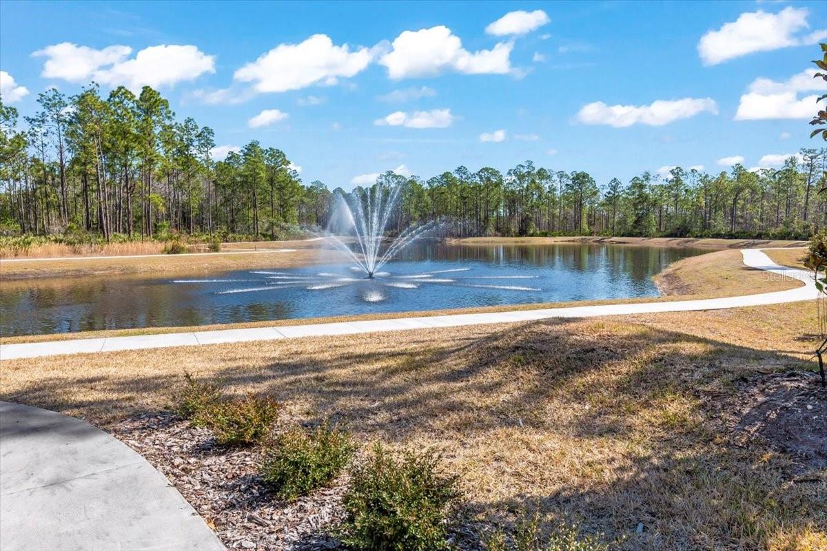 Image 50 of 62 For 6425 Saguaro Court