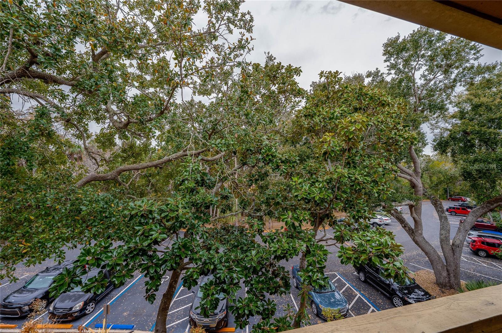 Image 18 of 22 For 1401 Palmetto Avenue 211