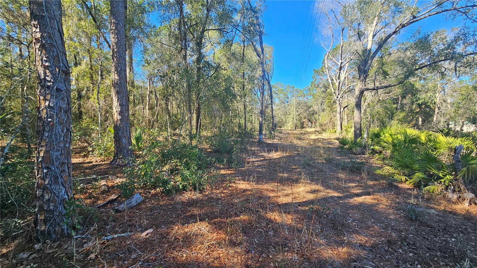 Image 22 of 39 For 43734 West Lane