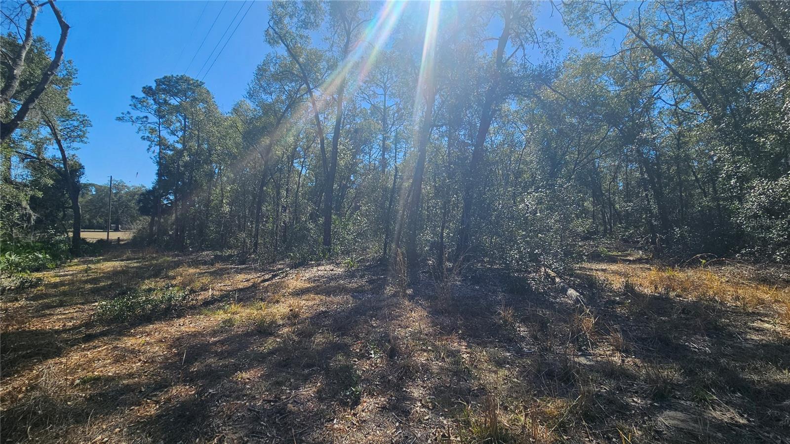 Image 24 of 39 For 43734 West Lane