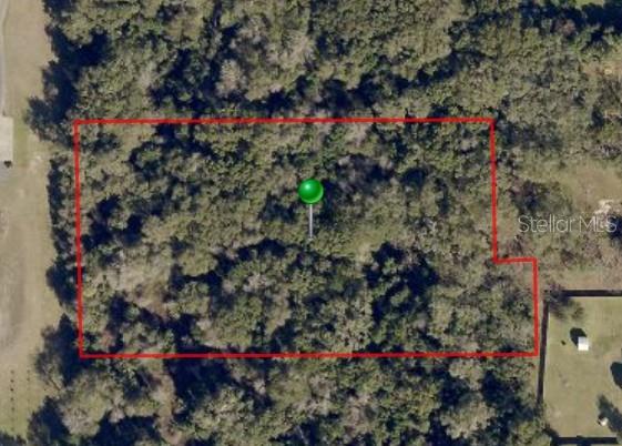 Image 2 of 2 For  Adelle  