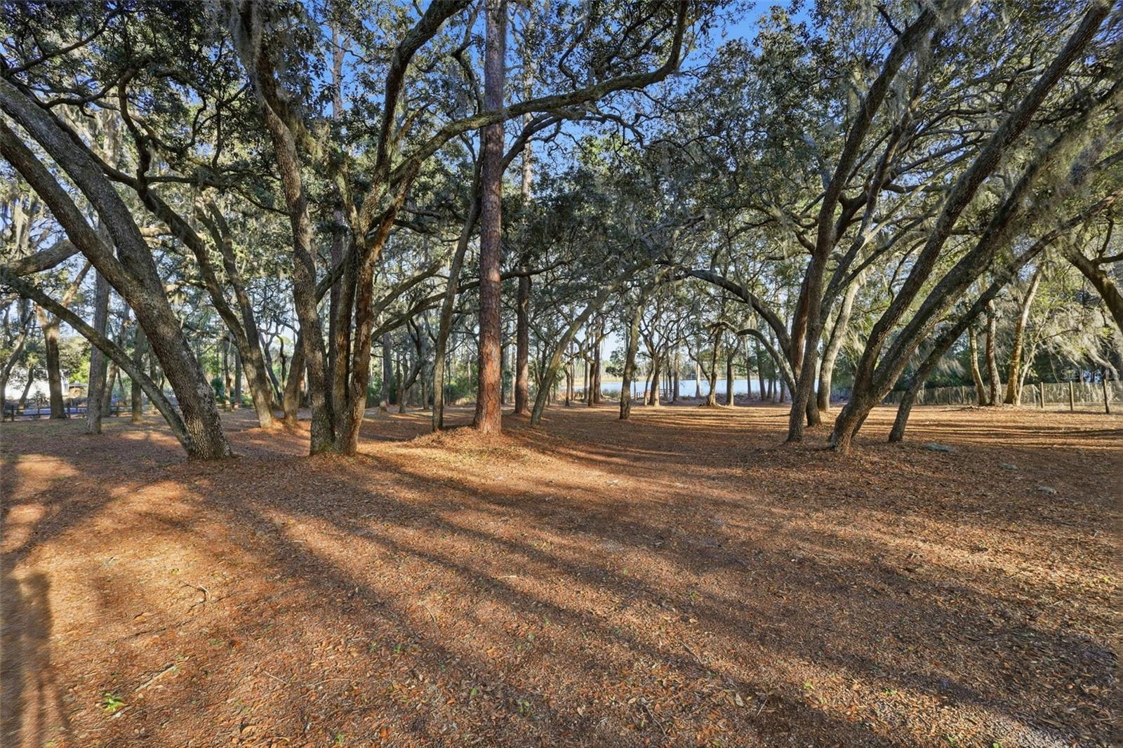 Image 32 of 49 For 6197 Lake Winona Road