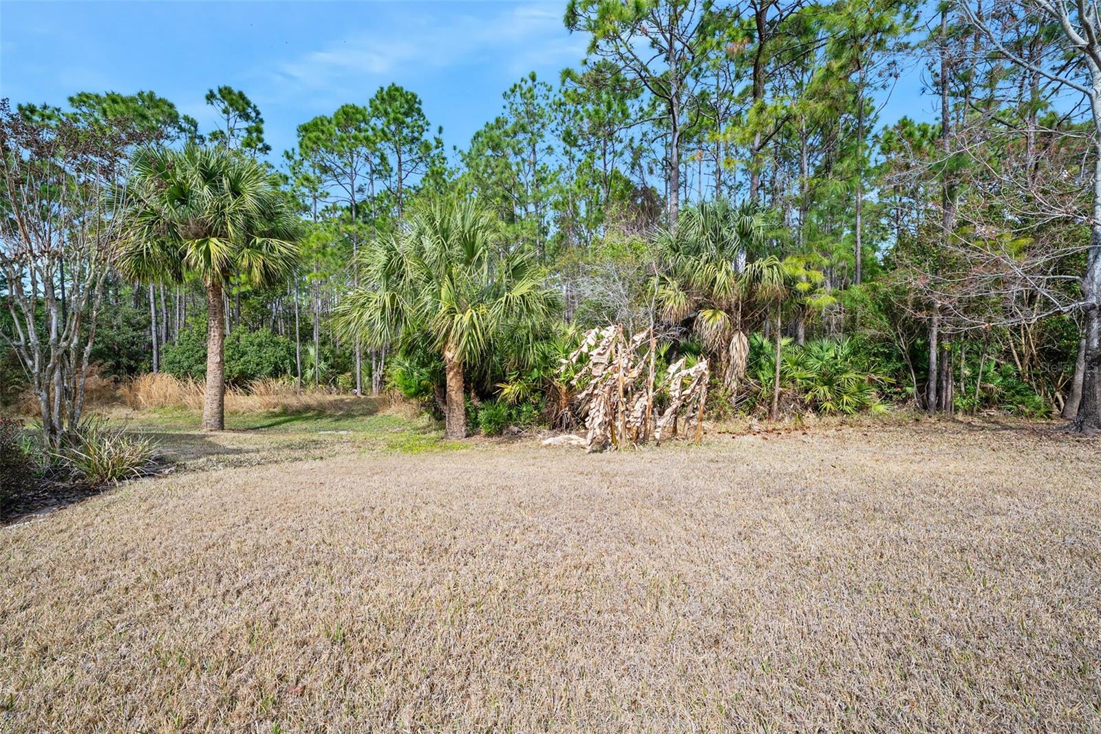 Image 48 of 63 For 372 Chelsea Place Avenue