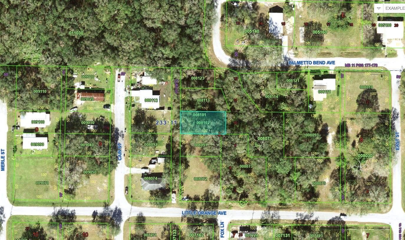 Listing Details for Little Orange Avenue, MULBERRY, FL 33860