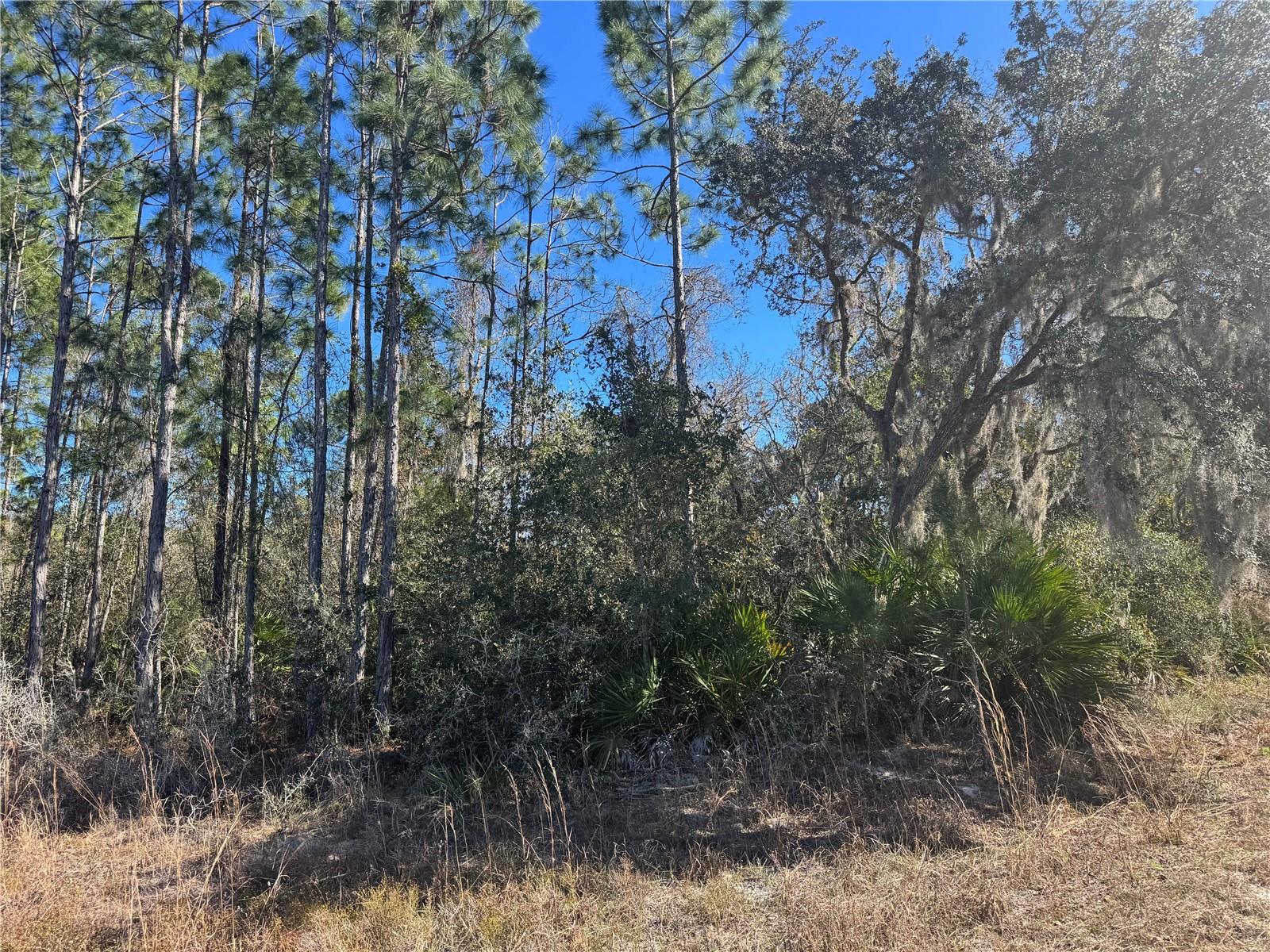 Image 3 of 4 For Grace Avenue