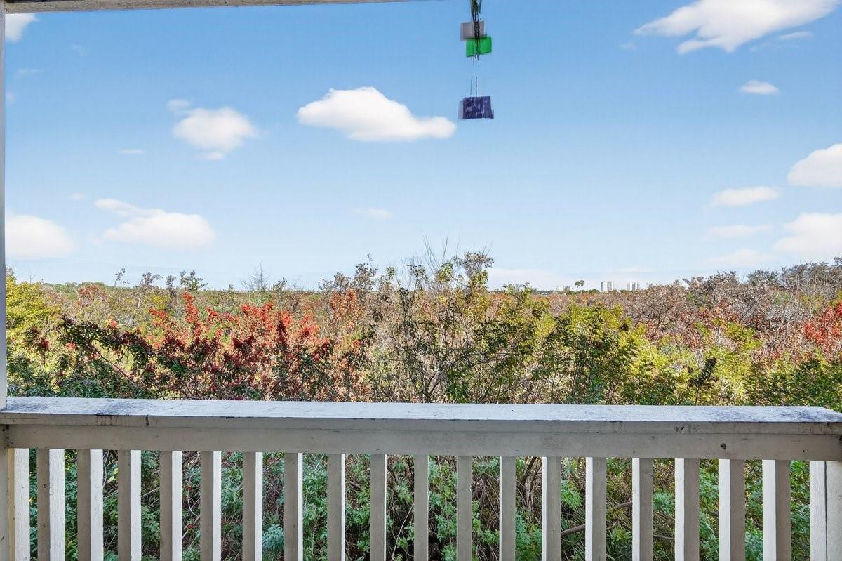 Image 16 of 70 For 1401 Palmetto Avenue 806