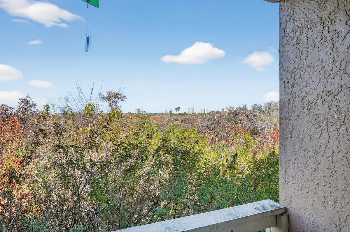 Image 17 of 70 For 1401 Palmetto Avenue 806