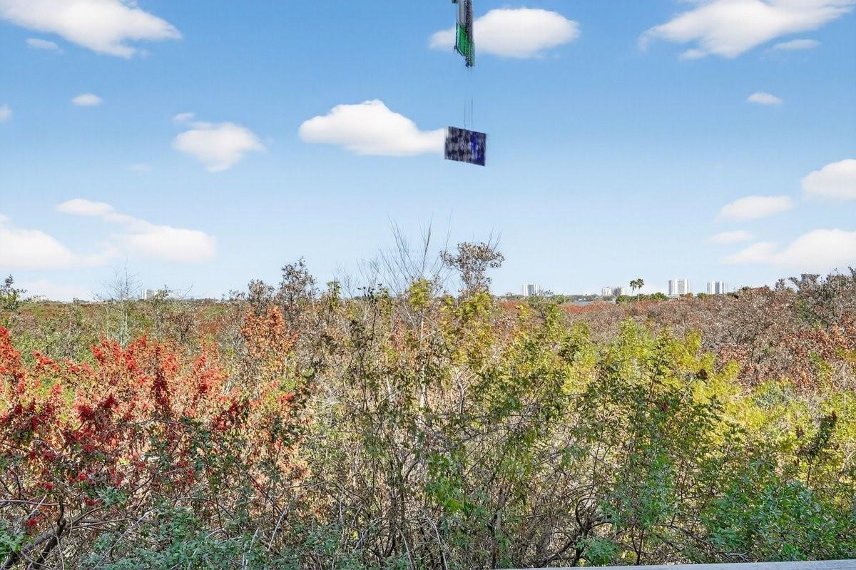 Image 18 of 70 For 1401 Palmetto Avenue 806