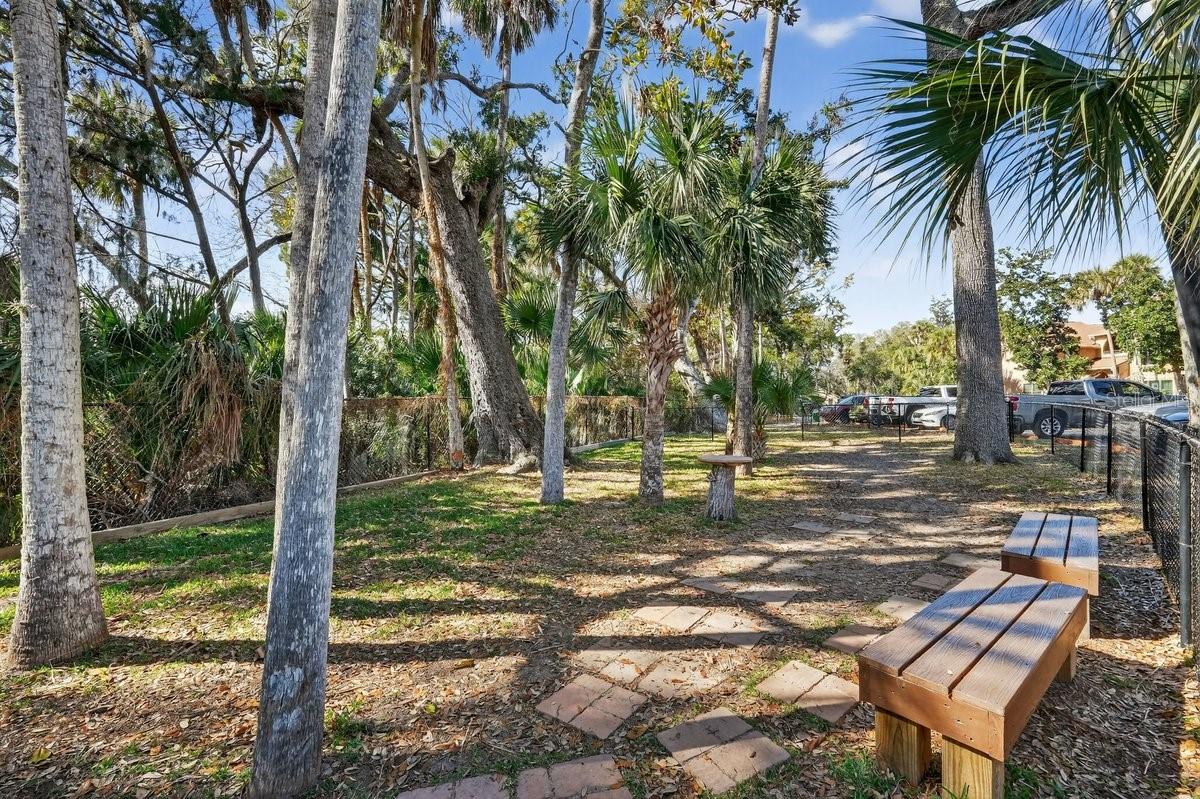 Image 28 of 70 For 1401 Palmetto Avenue 806