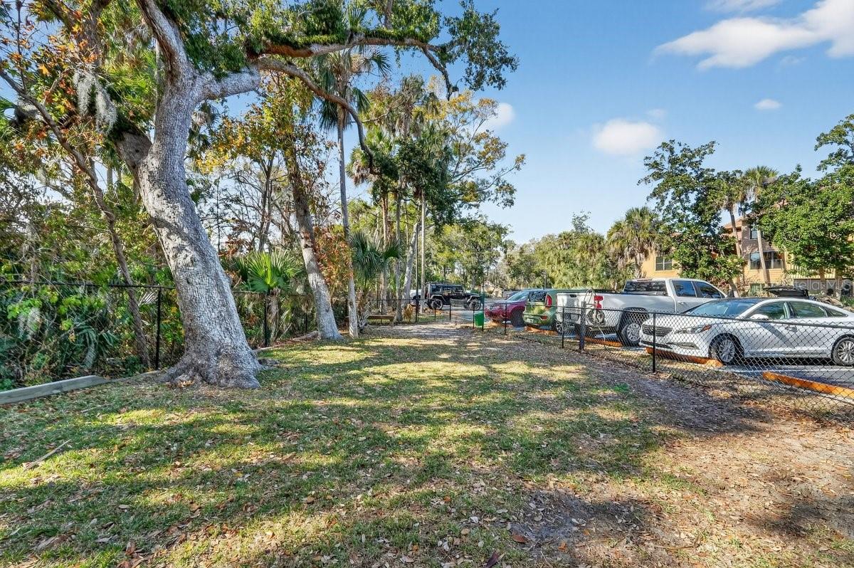 Image 29 of 70 For 1401 Palmetto Avenue 806