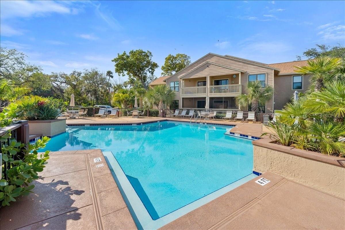 Image 46 of 70 For 1401 Palmetto Avenue 806