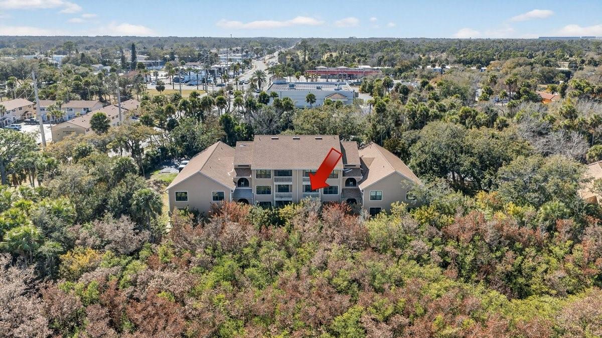 Image 54 of 70 For 1401 Palmetto Avenue 806