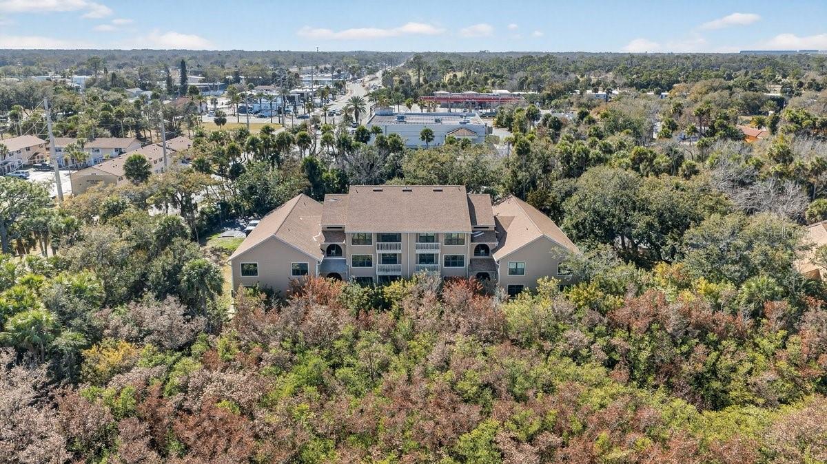 Image 55 of 70 For 1401 Palmetto Avenue 806