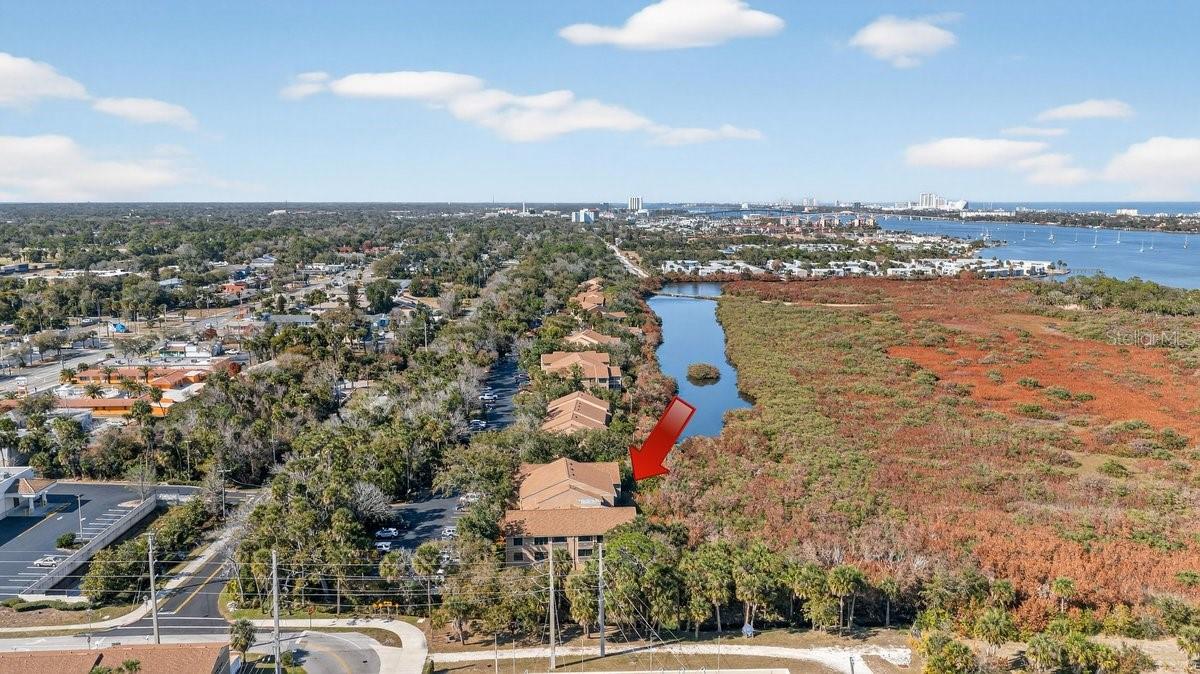 Image 58 of 70 For 1401 Palmetto Avenue 806