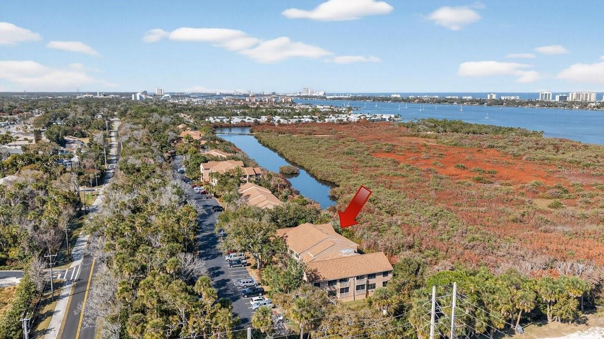 Image 60 of 70 For 1401 Palmetto Avenue 806