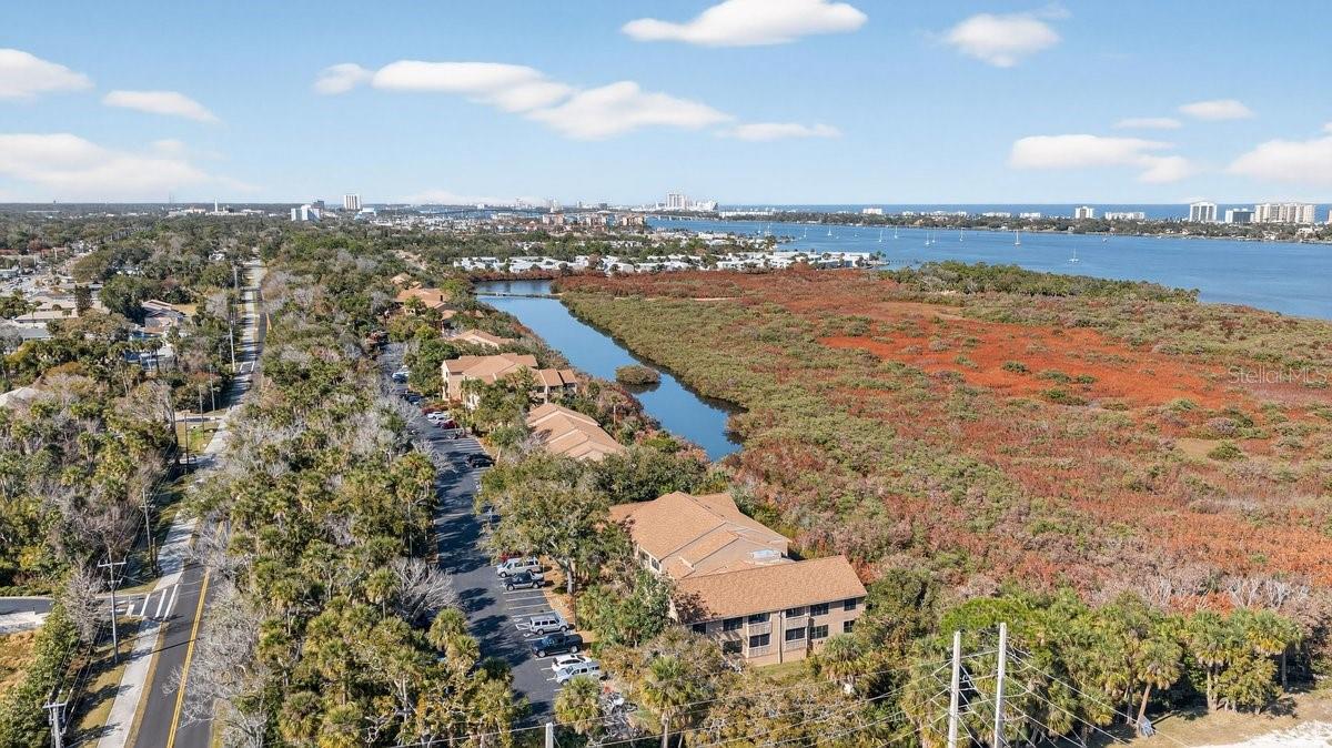 Image 61 of 70 For 1401 Palmetto Avenue 806