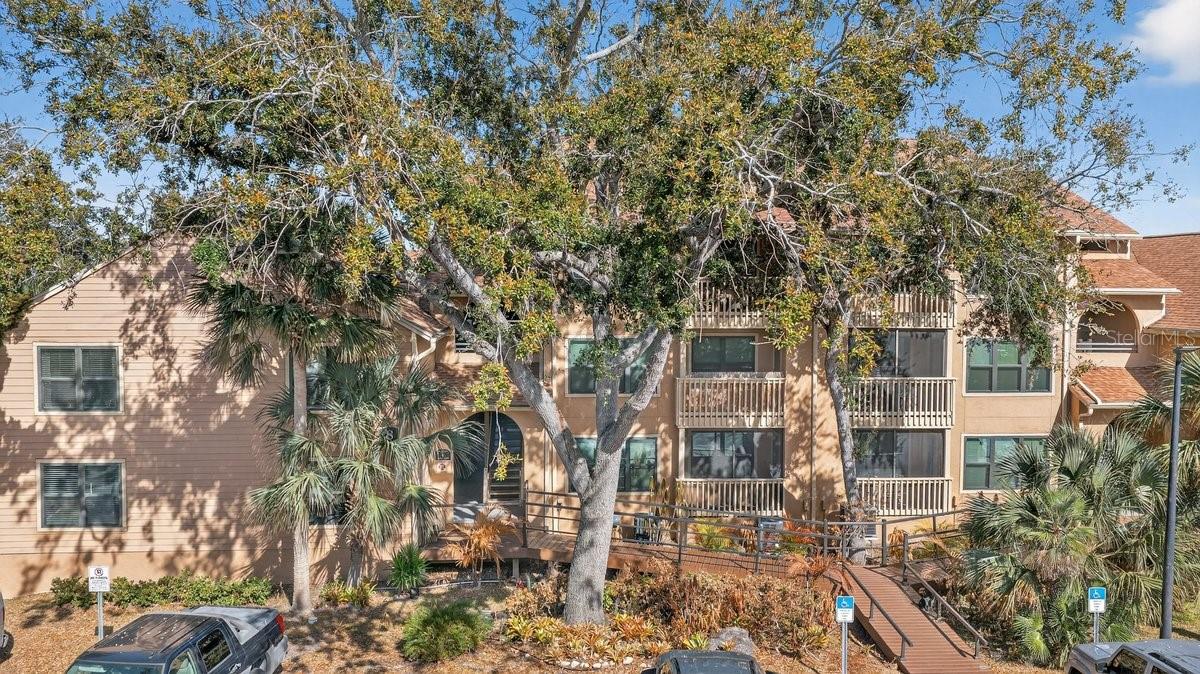 Image 62 of 70 For 1401 Palmetto Avenue 806