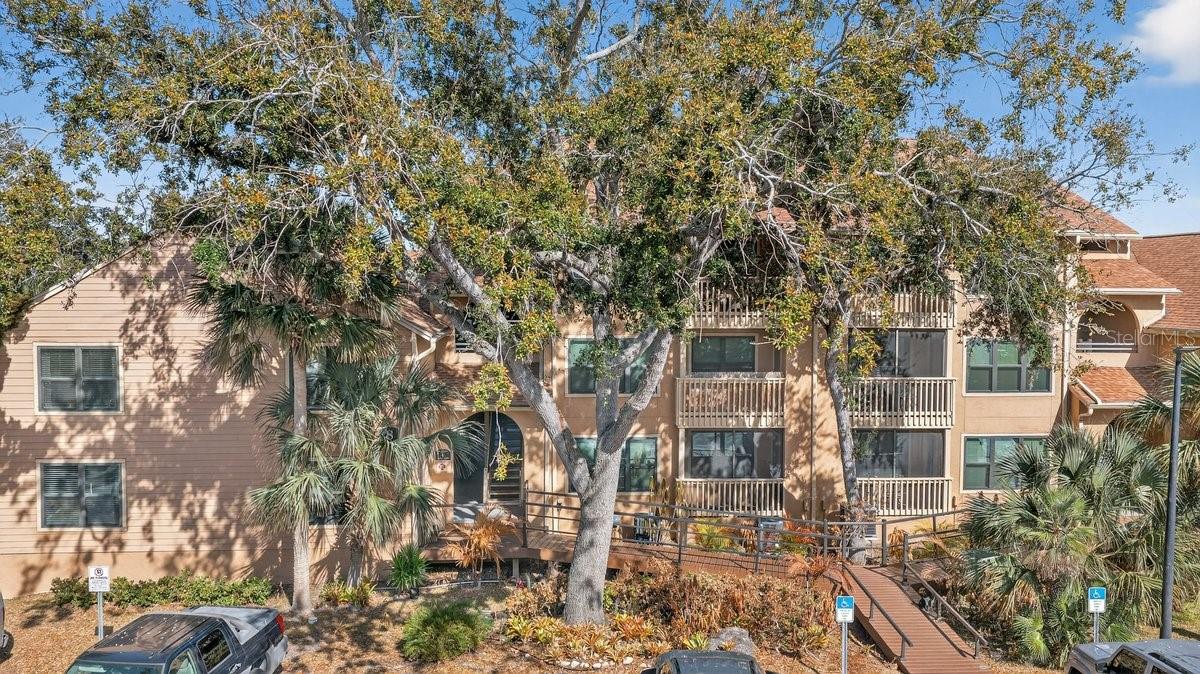 Image 63 of 70 For 1401 Palmetto Avenue 806