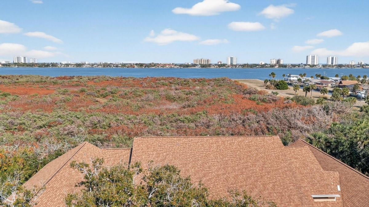 Image 64 of 70 For 1401 Palmetto Avenue 806