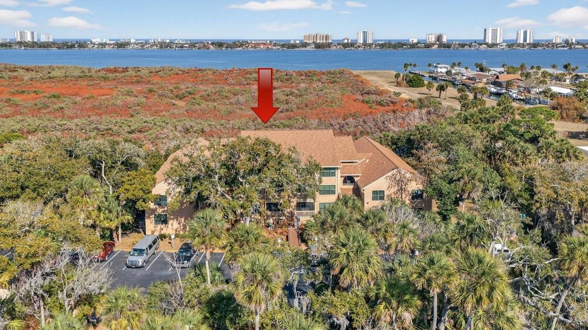 Image 65 of 70 For 1401 Palmetto Avenue 806