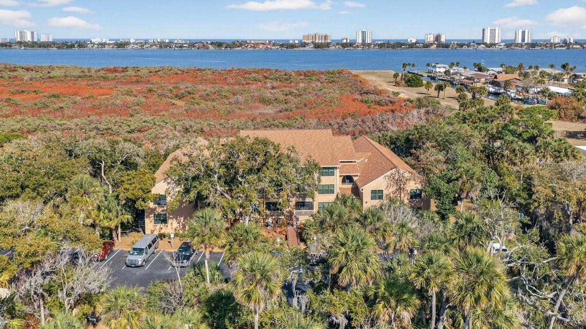 Image 66 of 70 For 1401 Palmetto Avenue 806