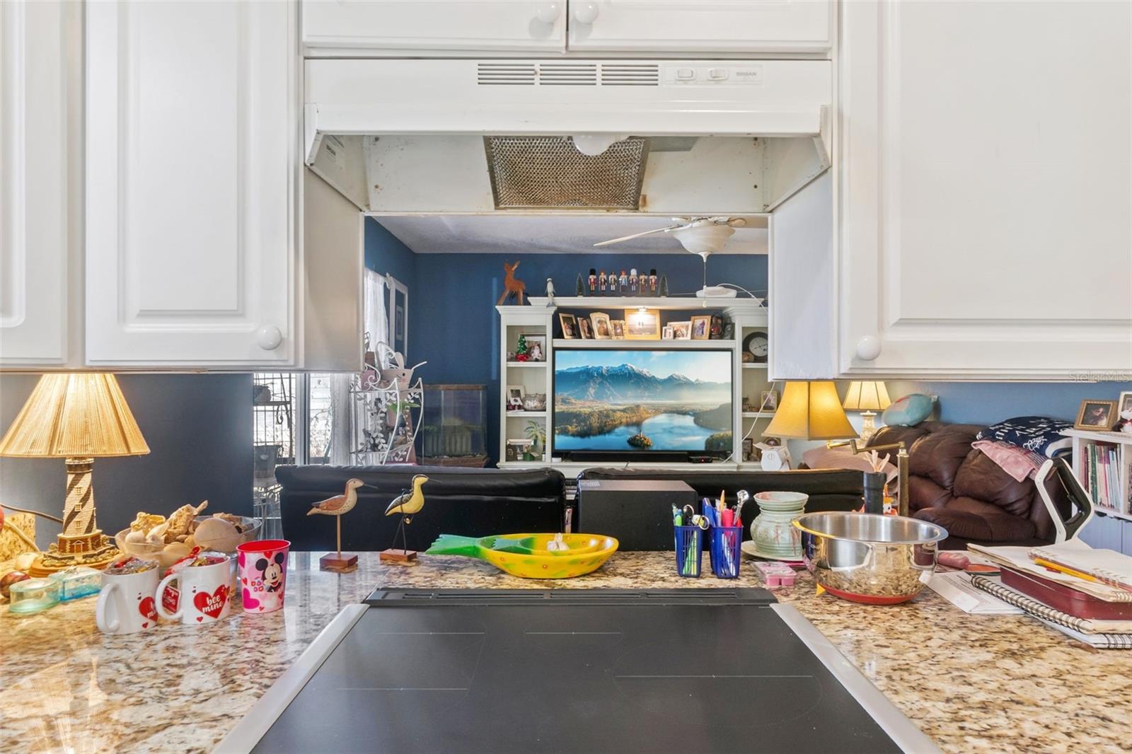 Image 8 of 15 For 1106 Swanson Drive