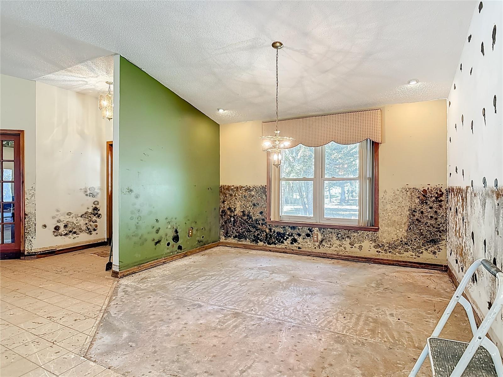 Image 21 of 53 For 1395 Kettledrum Trail