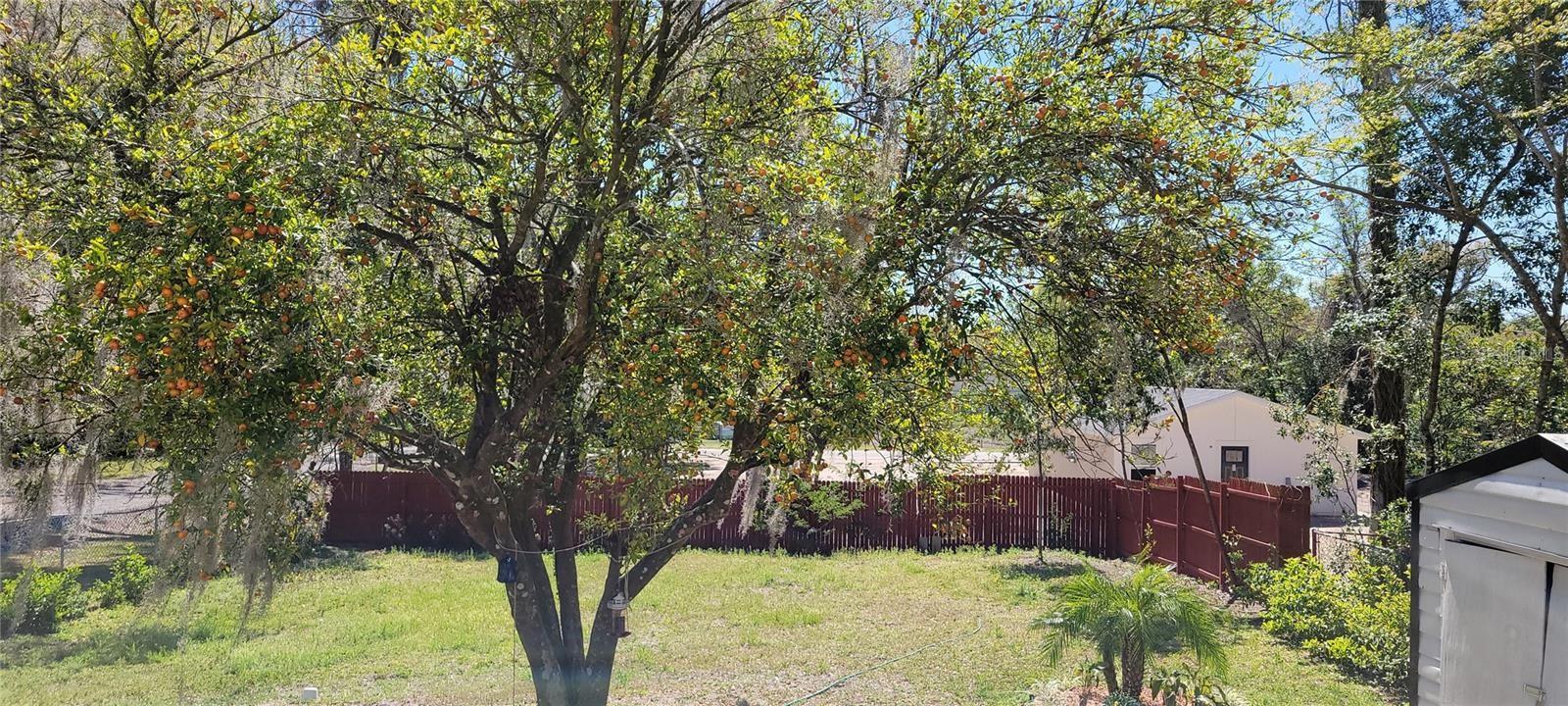 Image 32 of 35 For 416 Howry  