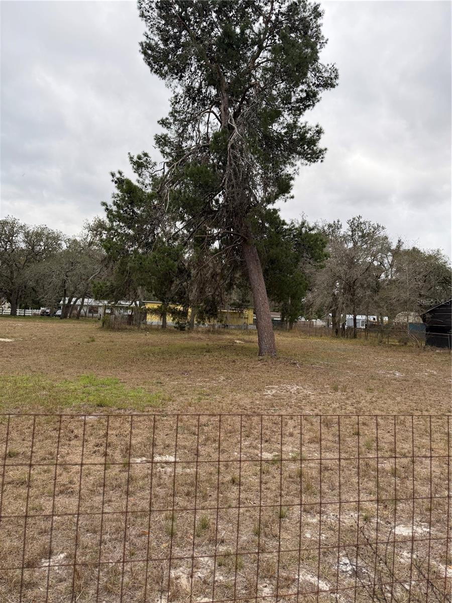 Image 11 of 17 For 12013 Bethwood Avenue