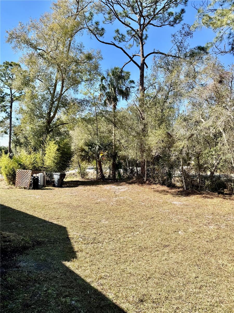 Image 11 of 27 For 2510 Dahlia Road