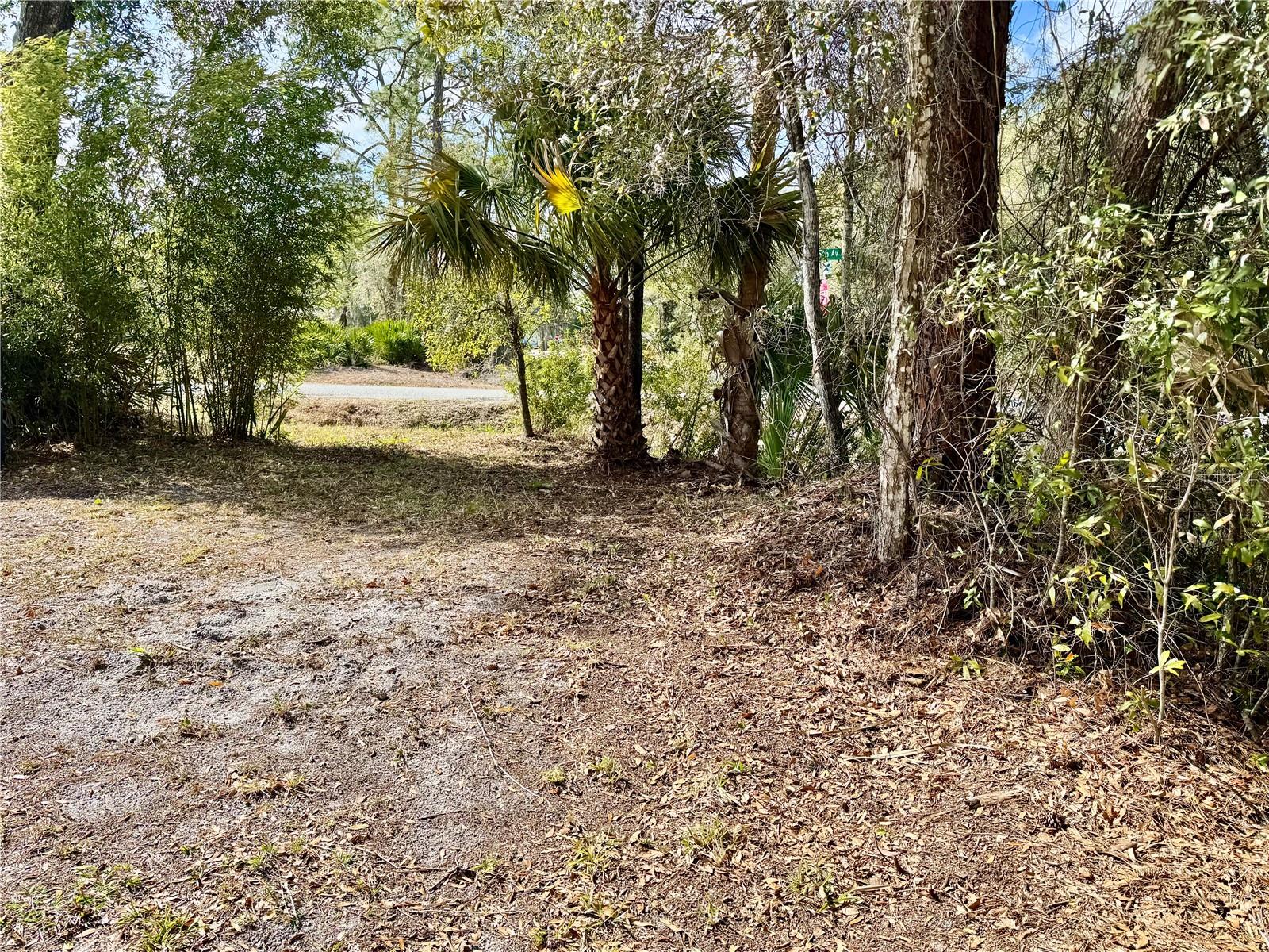 Image 7 of 27 For 2510 Dahlia Road