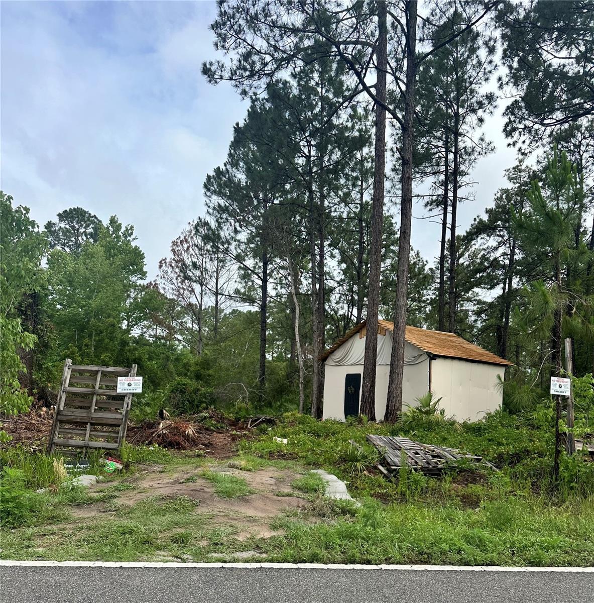 Details for Reynolds Road, DE LEON SPRINGS, FL 32130
