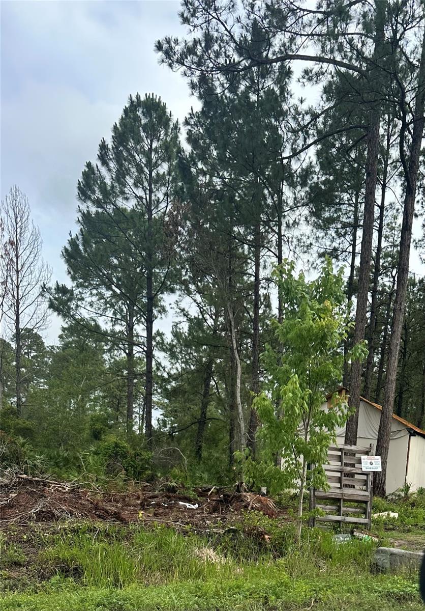 Image 4 of 5 For Reynolds Road