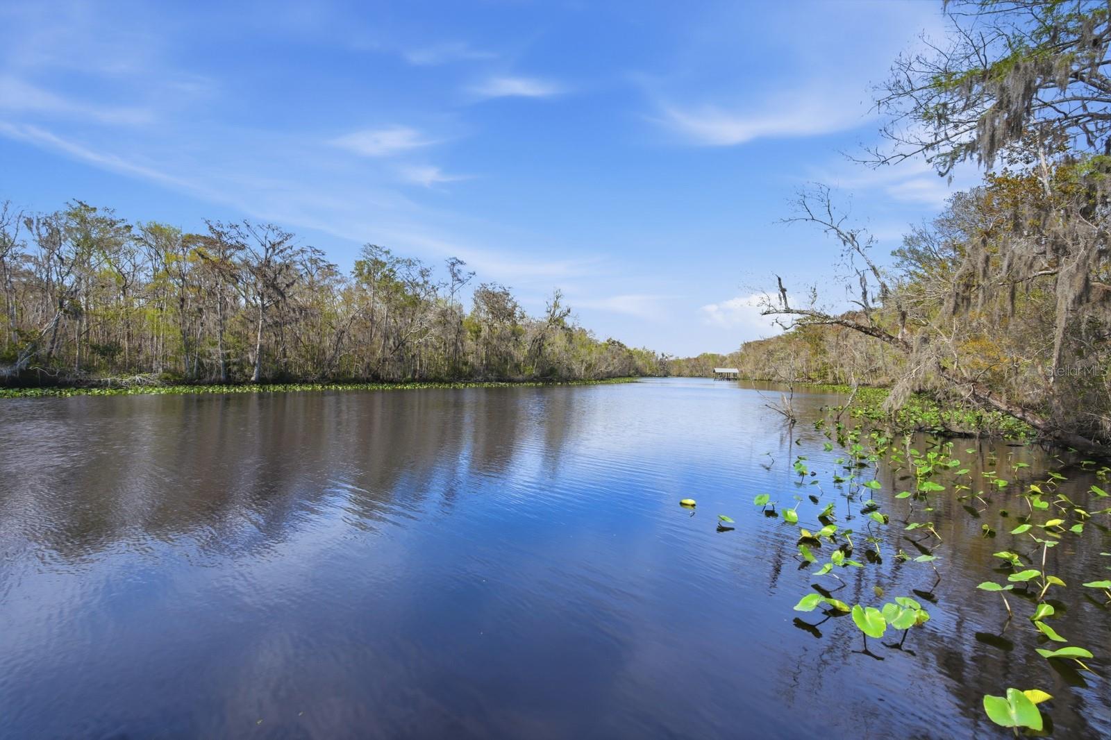 Image 88 of 100 For 6595 Collier Road