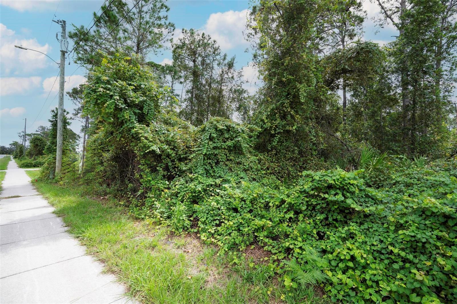 Image 19 of 20 For 2657 Captain Drive