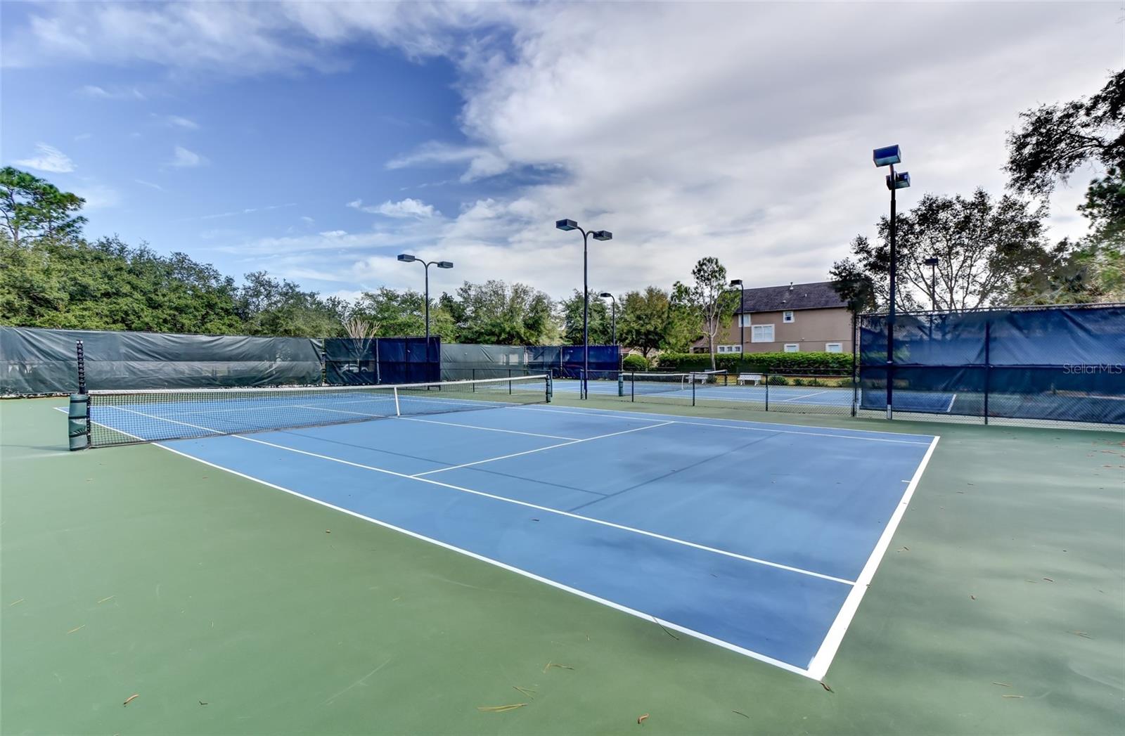 Image 48 of 55 For 254 Old Moss Circle