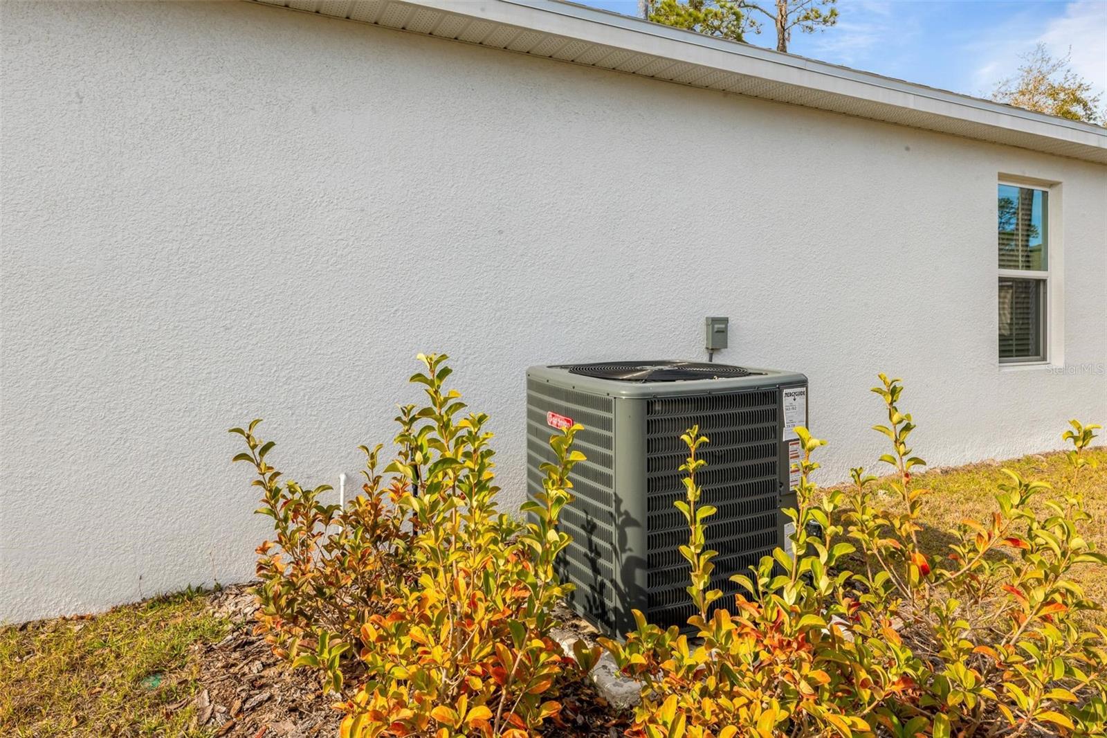 Image 30 of 40 For 17 Birchwood Place